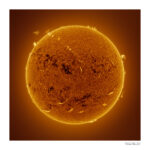 OFERTA - Wow, está repleto de filamentos!