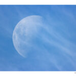 OFERTA - Luna medusa