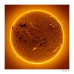 OFERTA - Bucles de plasma