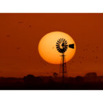 OFERTA - Manchas solares al atardecer